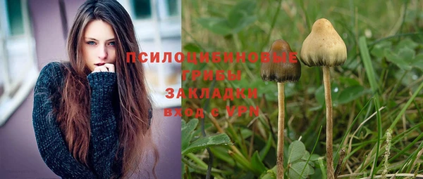 прущий лед Бронницы